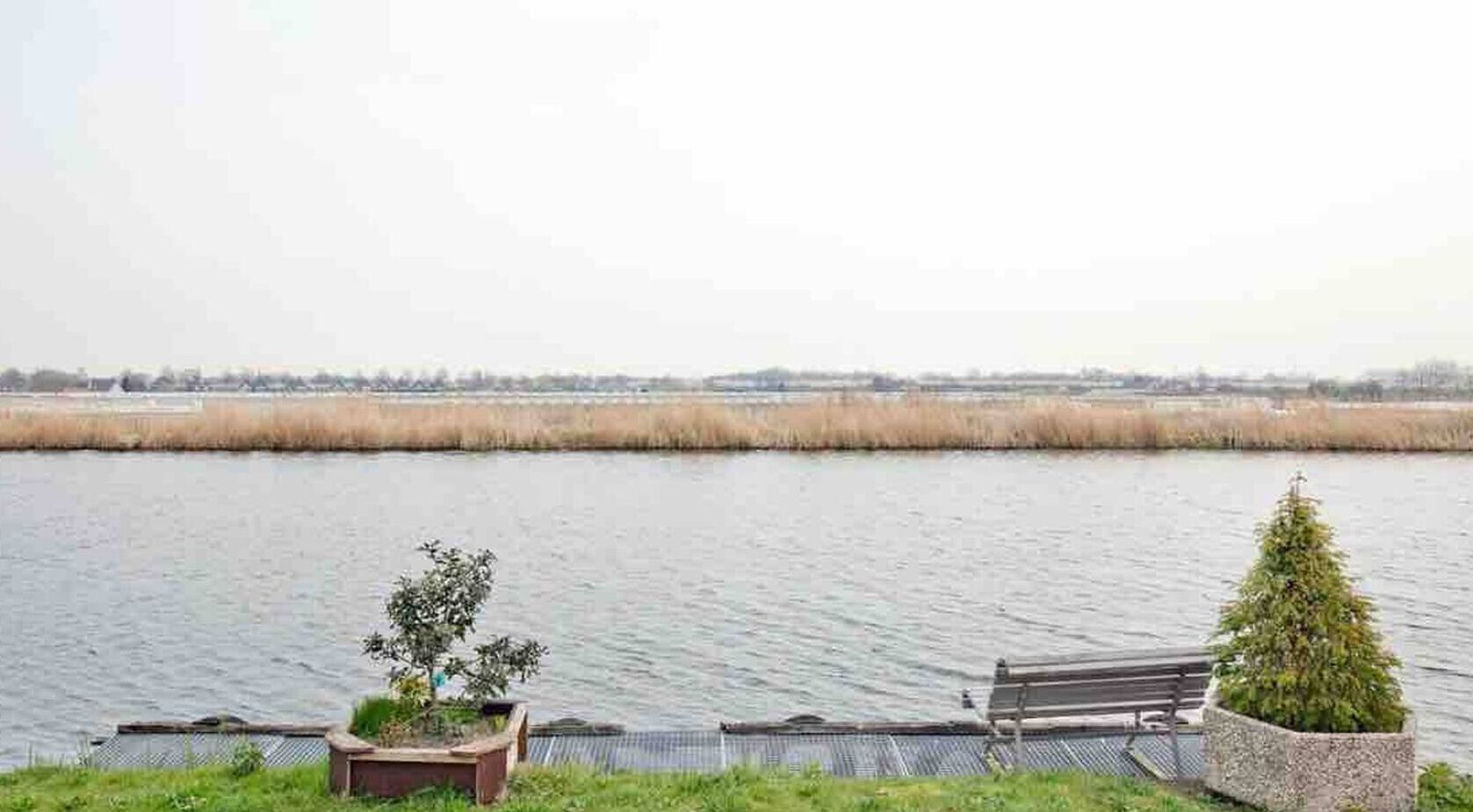A riverside view with a bench and a Christmas tree.