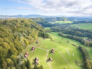 A rural landscape with houses surrounded by green fields and forests.