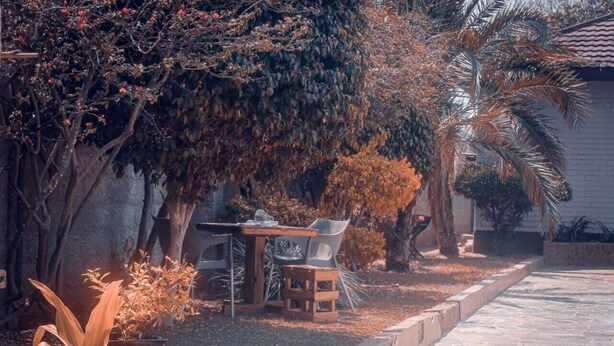 Un patio con mesa y sillas, rodeado de plantas y árboles.