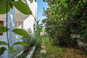 A narrow pathway flanked by lush greenery and a white building with a visible window and door.
