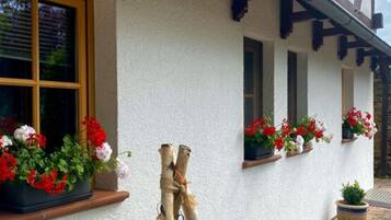 Khuôn viên nơi lưu trú