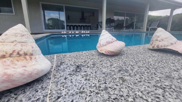 A poolside area with a granite countertop and three seashells. - Te Aro Villa 2
Modern Brand New 3brm villa with pool in Muri (Ngatangiia District)