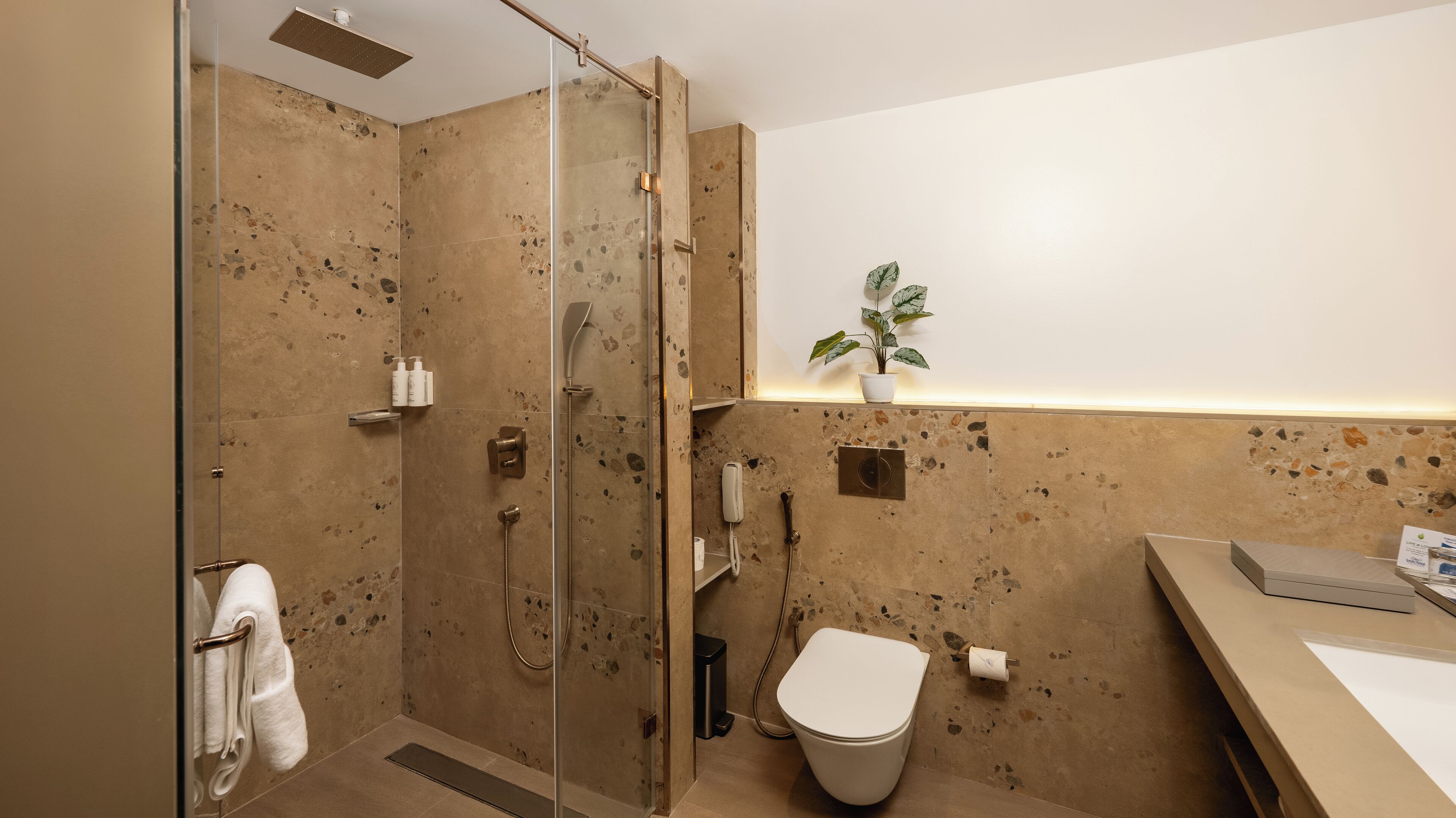 Een moderne badkamer met een douchecabine van glas, een toilet en een wastafel.
