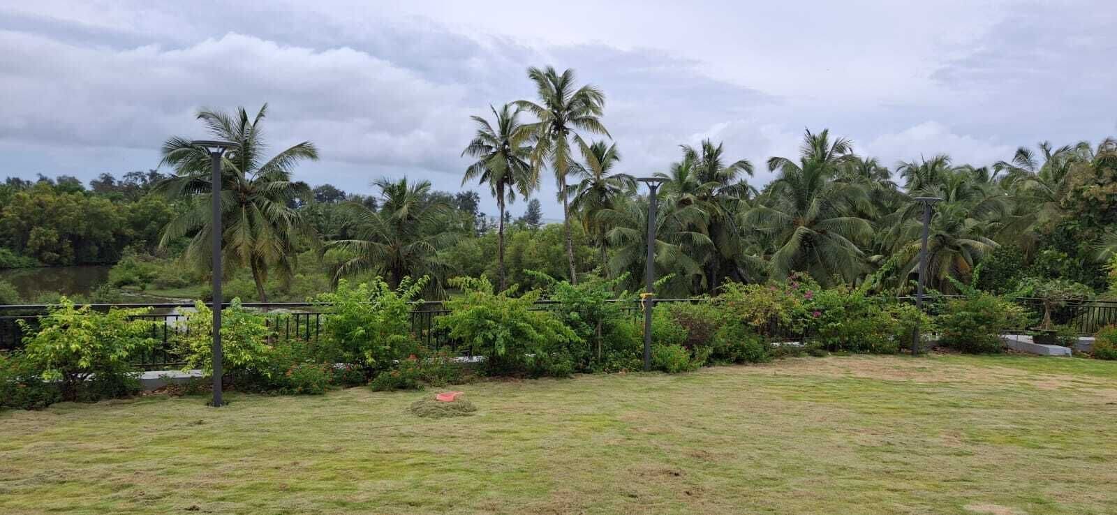 Un área con césped, palmeras y una valla.