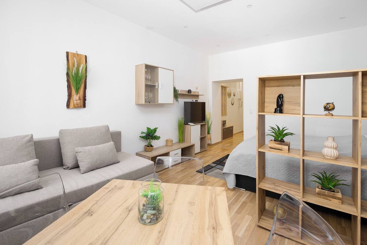 Apartamento, 1 cama de matrimonio con sofá cama | 1 dormitorio, tabla de planchar con plancha, wifi gratis