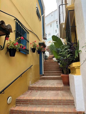 Property grounds - Village House Benahavis (Benahavis)