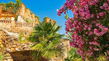 Apartment, 2 Bedrooms, Terrace, Garden View | Garden