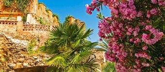 2 Bed Gf Apt Near Puerto Banus