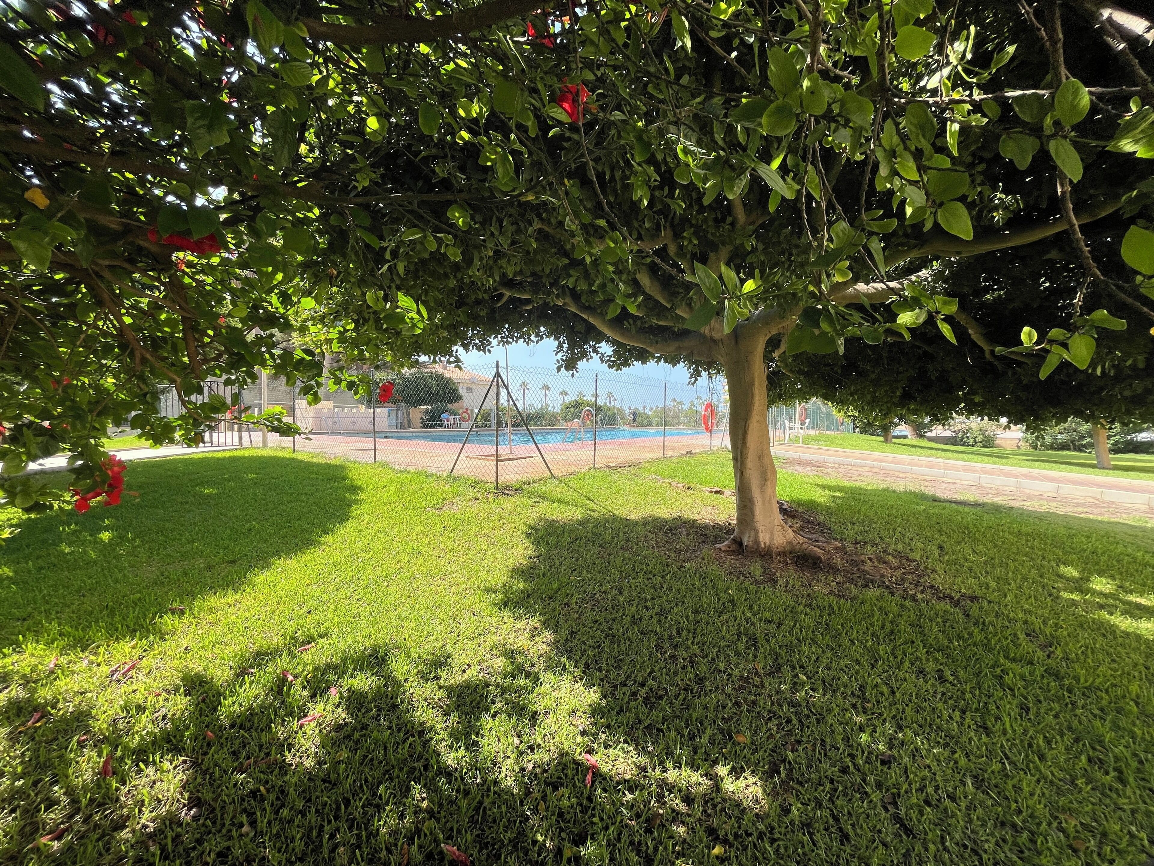 Apartament, 2 dormitoris, terrassa, vistes a la ciutat | Àrea exterior de l'allotjament