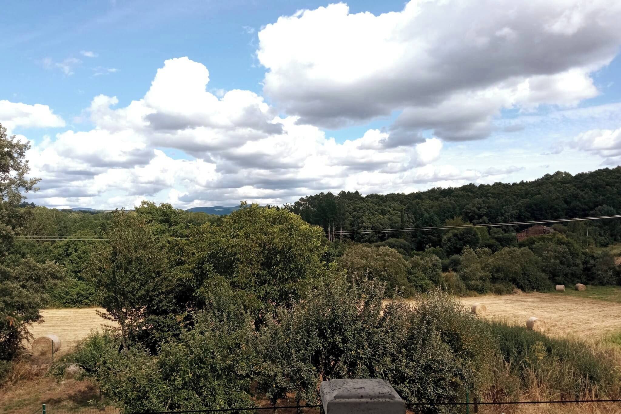 A rural landscape with a field, trees, and a hill in the background.