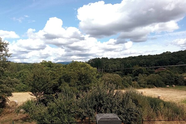 A rural landscape with a field, trees, and a hill in the background. - Cozy Cottage in Country Side (Bóveda)