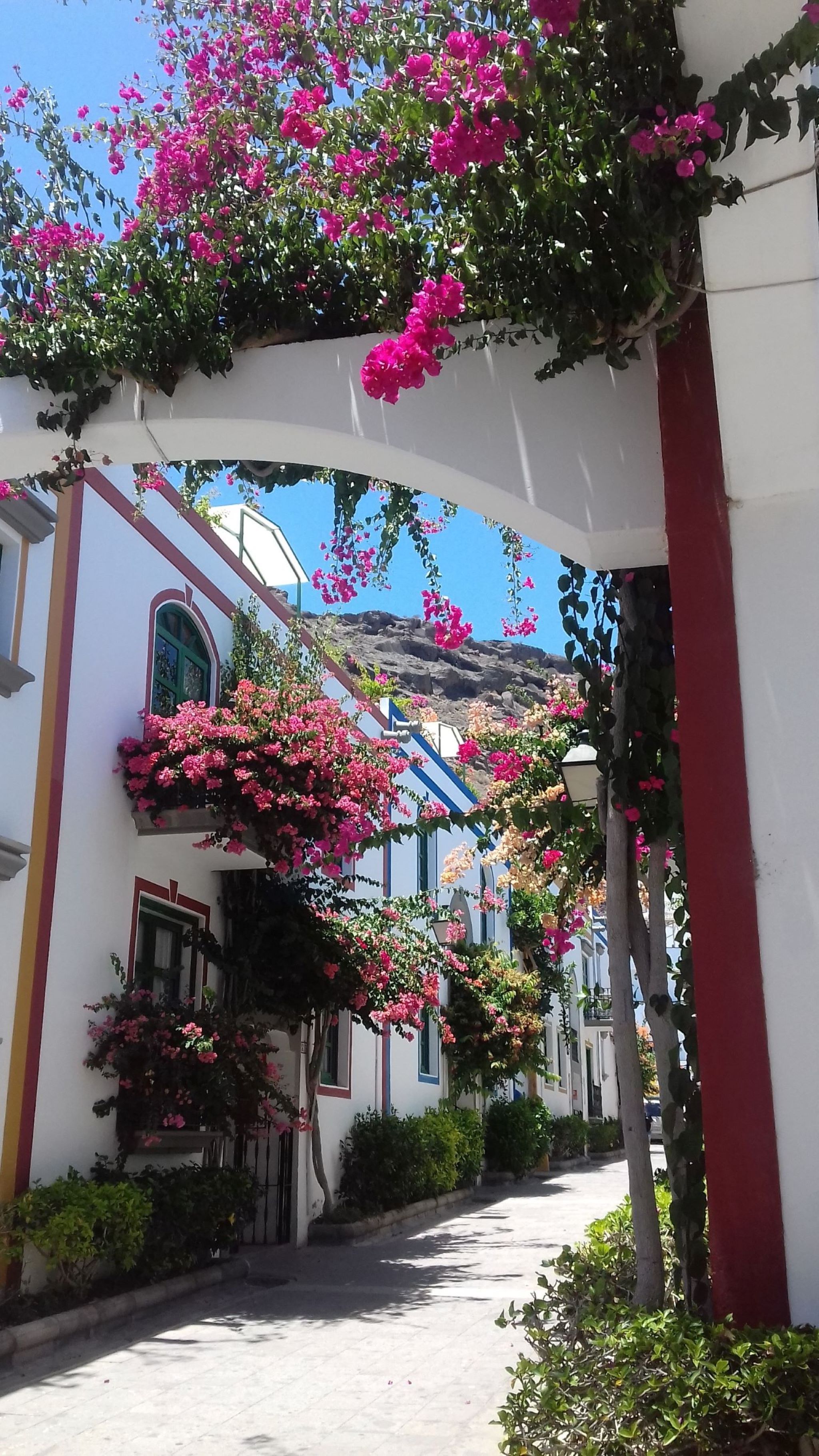 Una calle estrecha con edificios blancos, buganvillas rosadas y una columna roja.