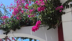 A narrow street with white buildings, pink bougainvillea, and a red column. - 1 Bedroom Apartment in the Center of Puerto de Mogan (Mogan)