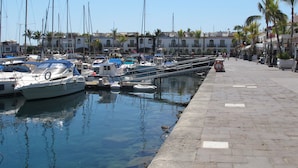 Un puerto deportivo con barcos amarrados, cielo despejado y un paseo pavimentado bordeado de palmeras.