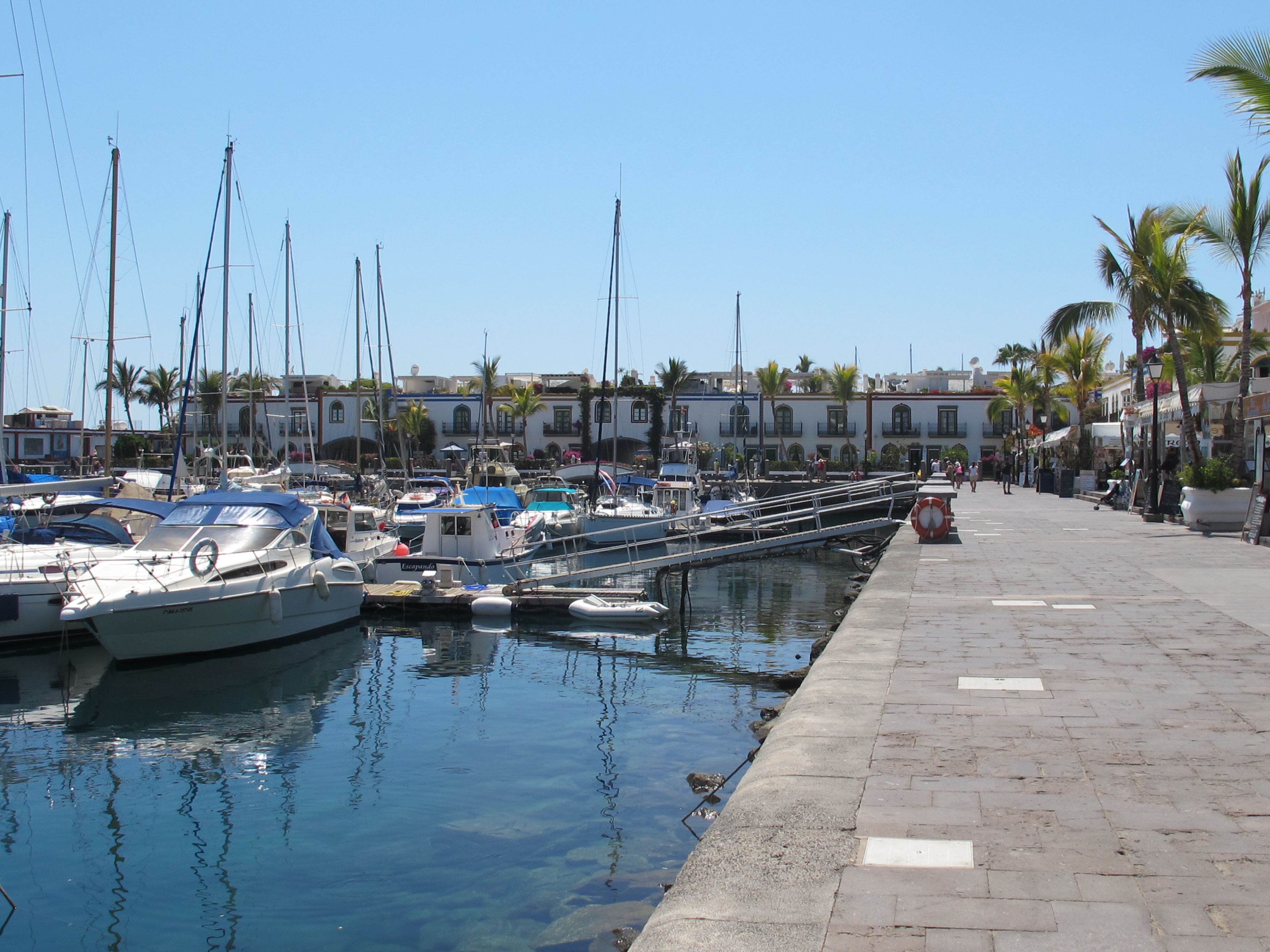 A marina with boats docked, a clear sky, and a paved walkway with palm trees.