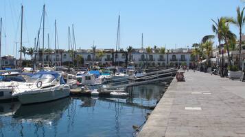 A marina with boats docked, a clear sky, and a paved walkway with palm trees.