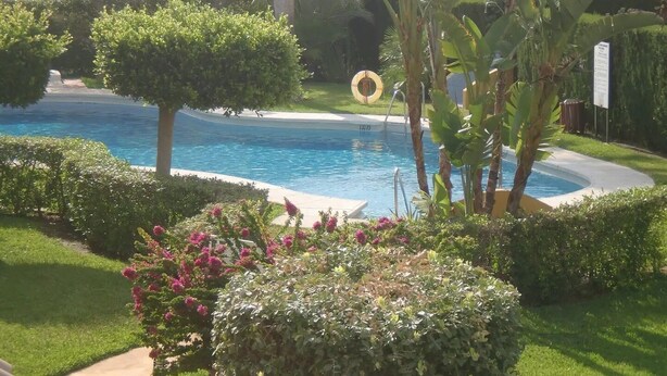 Una piscina rodeada de vegetación cuidada y un cielo azul despejado.