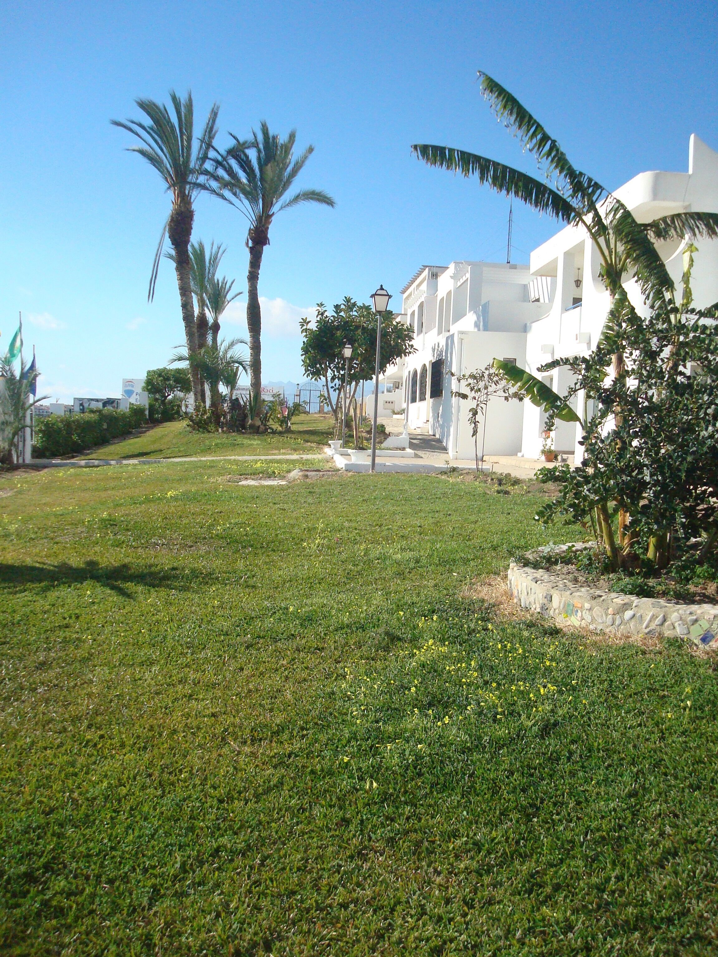 A grassy area with palm trees and a white building with a balcony.