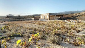 Un edificio de ladrillo con techo plano, rodeado de vegetación seca y un cielo despejado.