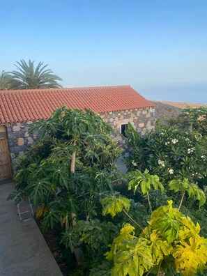 Camera, 1 camera da letto | Parco della struttura