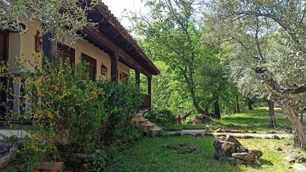 Ein rustikales Gebäude mit Ziegelverkleidung und Holzbalkonen, umgeben von üppiger Vegetation und Olivenbäumen.