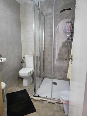 A bathroom with a glass-enclosed shower, a toilet, and a sink.