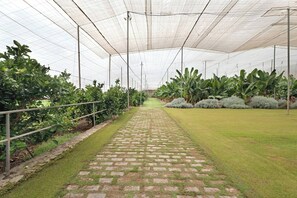 Apartment, 1 Bedroom | Property grounds - Finca La Calabacera Casa Azul (Guia de Isora)