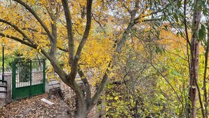 House, 1 Bedroom, Smoking, Garden View | Property entrance - Rural Accommodation La Niña - Granada (Villamena)