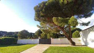 Vista des de l'allotjament