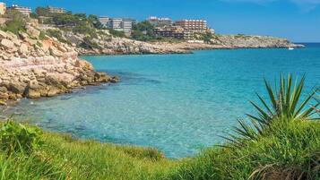 Apartamento, 1 habitación, accesible para personas con discapacidad, fumadores | Playa | Ubicación cercana a la playa