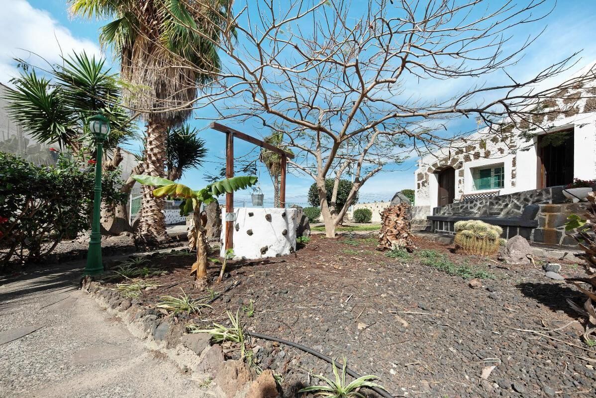 Un jardin avec un sentier, des palmiers et un bâtiment doté d’une façade en pierre.