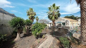 A courtyard with palm trees, a stone pathway, and a building with a tiled roof. - House El Cardón A1 in Buenavista del Norte (Buenavista del Norte)