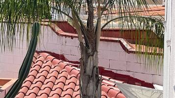 Room, 1 Bedroom, Smoking, Balcony | Exterior