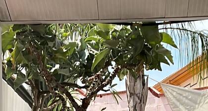 Room-circus-goretti House in Quiet and p