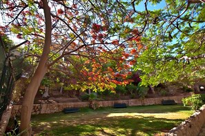 Apartamento, 1 quarto, vista para o jardim | Jardim
