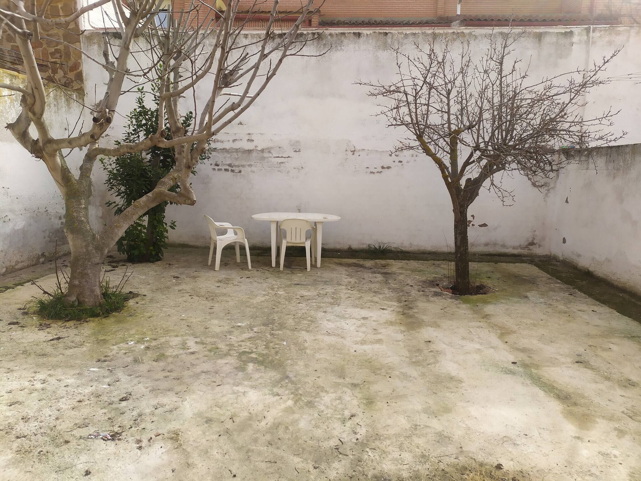 Photo - Room in Guest room - Double Bunk Room Toledo