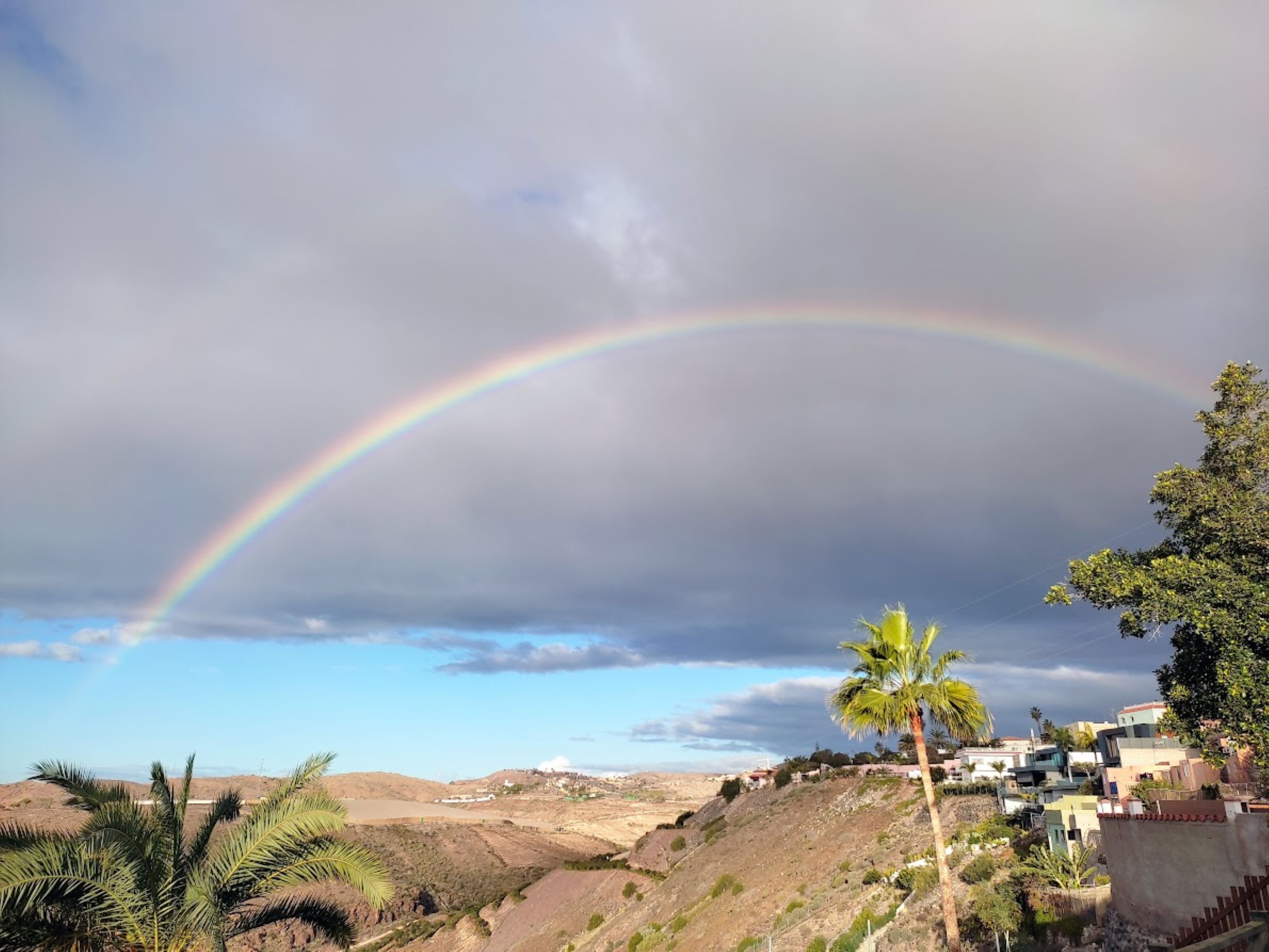 Paesaggio rurale con un arcobaleno, palme e case su una collina.