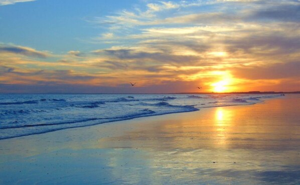 Biệt thự, 3 phòng ngủ, hút thuốc, hồ bơi riêng | Bãi biển