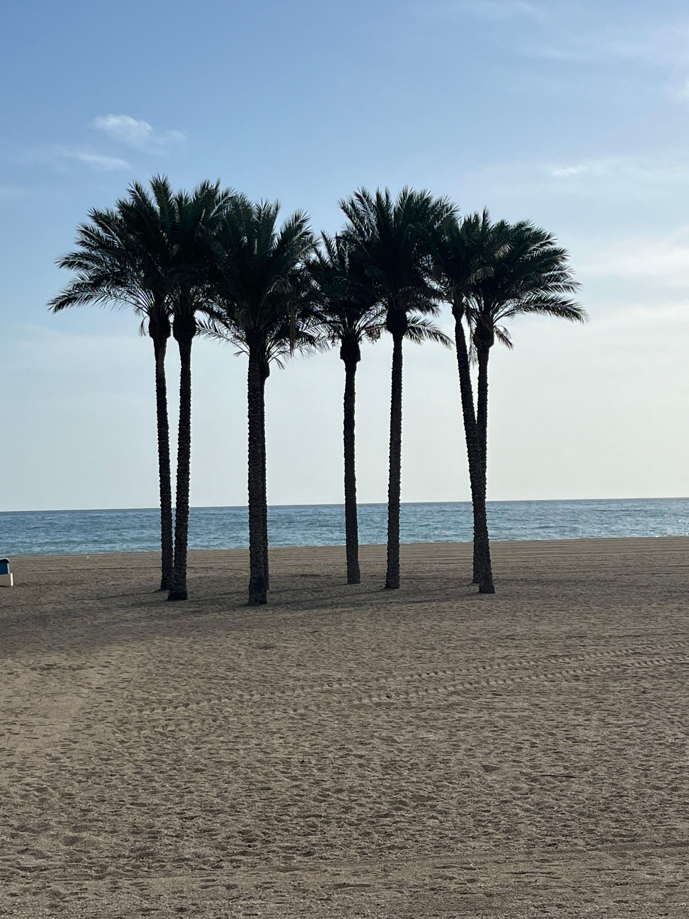 Apartment, 2 Bedrooms, Accessible, Balcony | Beach | On the beach