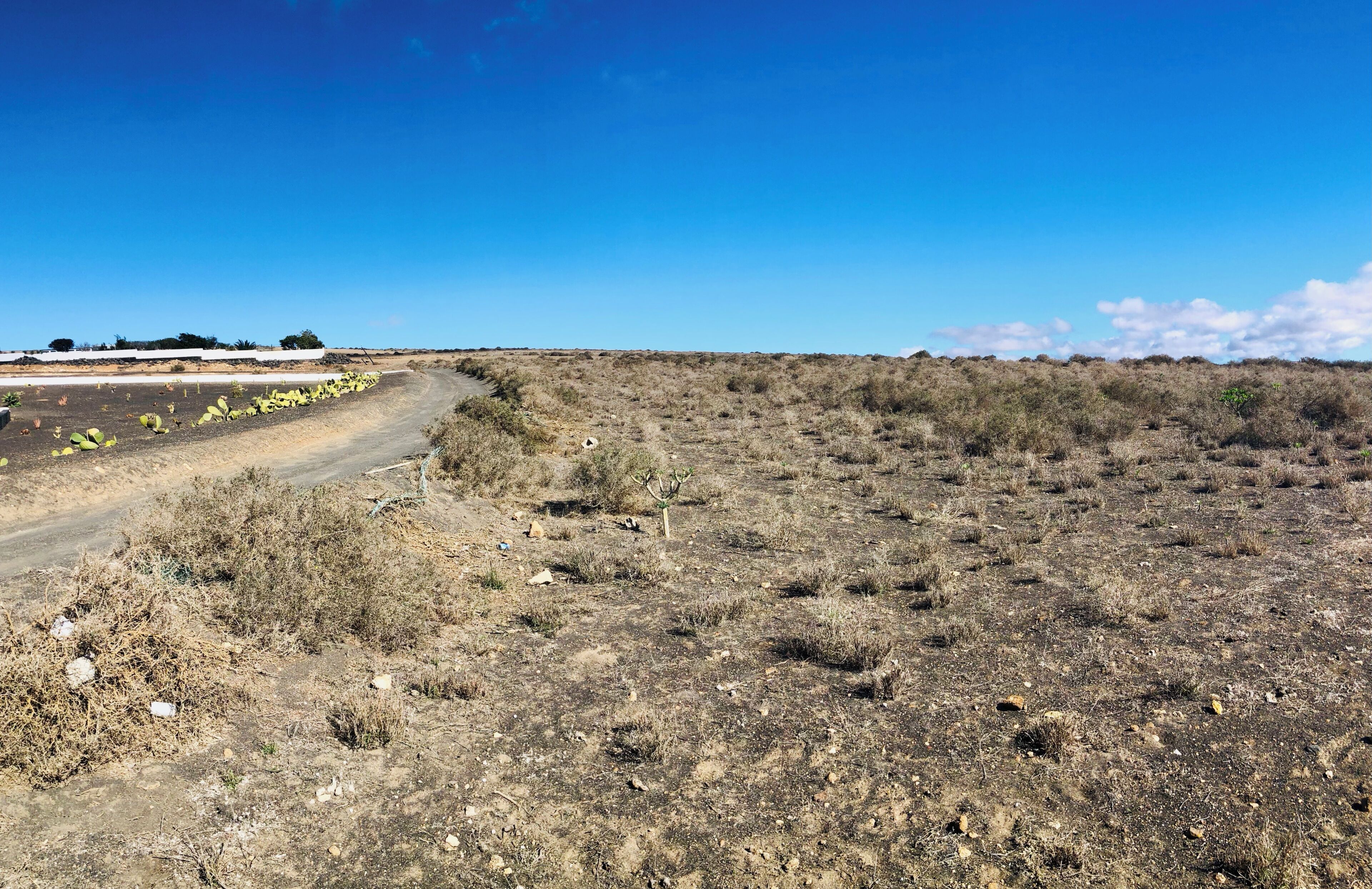 A dry, barren landscape with sparse vegetation and a dirt road curving through it.