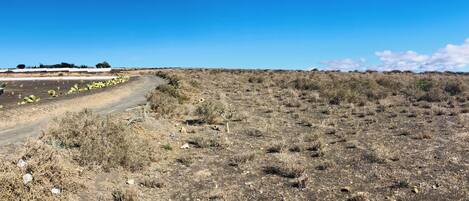 A dry, barren landscape with sparse vegetation and a dirt road curving through it.