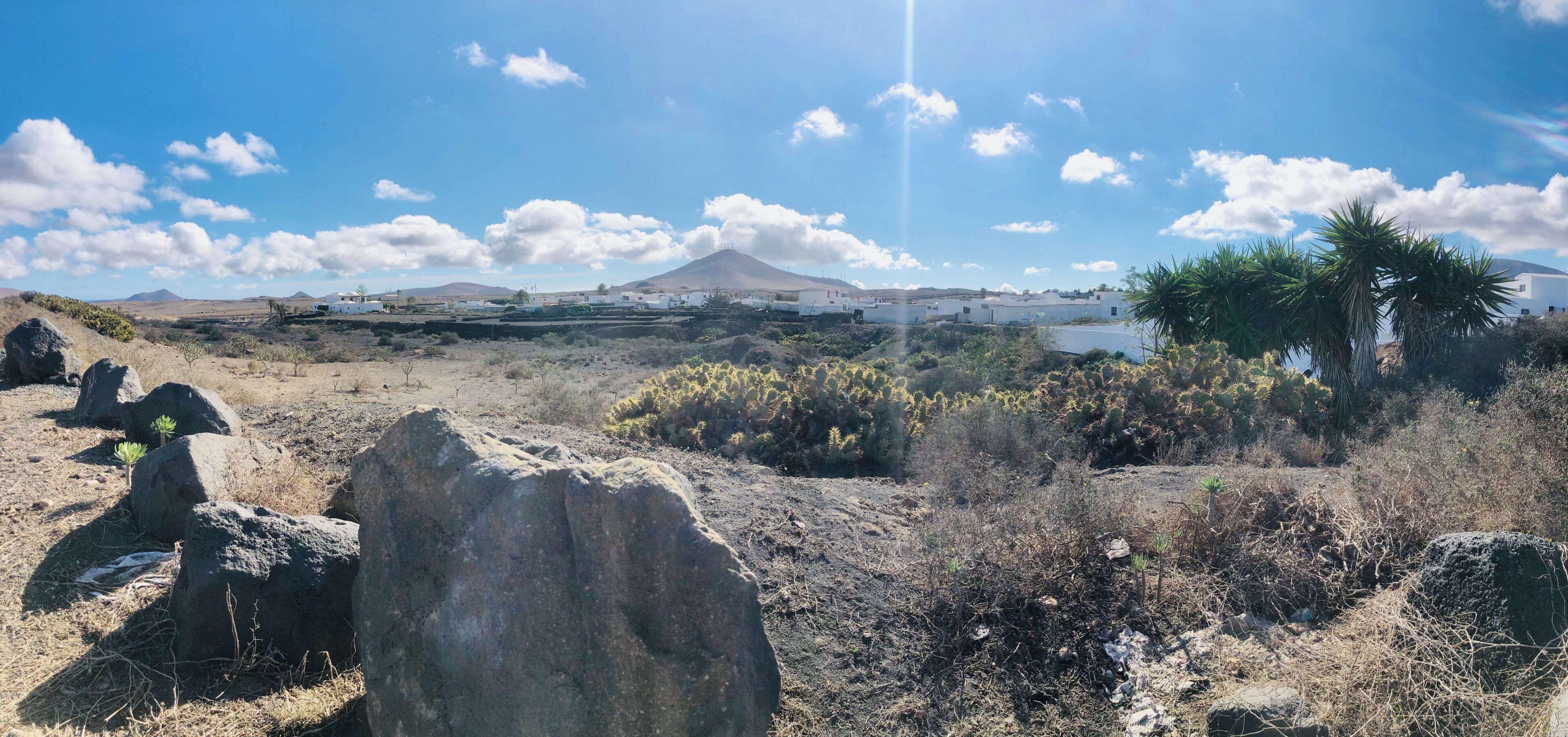 A desert landscape with large rocks, sparse vegetation, and a distant mountain.