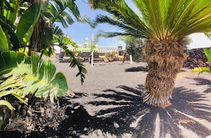 A garden with a palm tree, banana plants, and a stone wall. - Casita Bellavista With Great Views in Mozaga (Teguise)