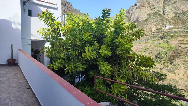 House, 1 Bedroom, Smoking, Patio | Exterior - House From 1900 Carefully Restored (Santa Cruz de Tenerife)