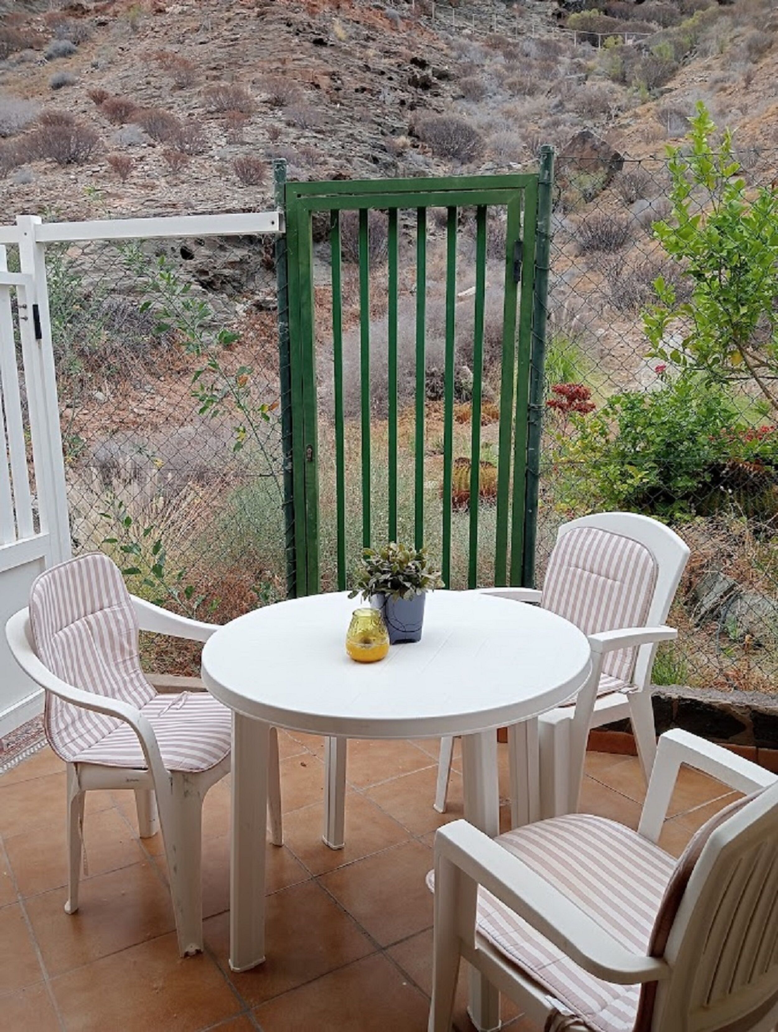 Studio, roken, patio | Terras