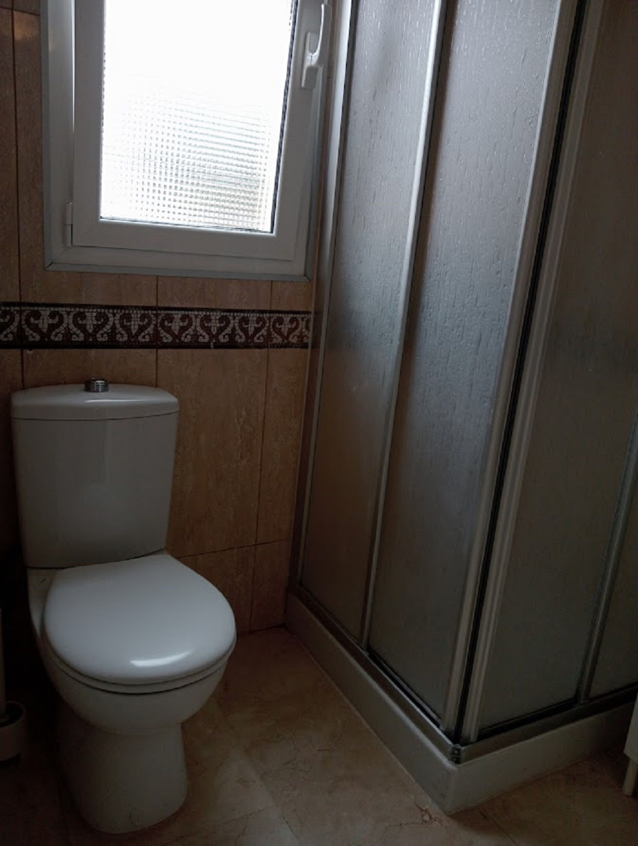 A bathroom with a toilet, a shower enclosure, and a window.