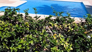 Ein Schwimmbad mit klarem, blauem Wasser, umgeben von gepflegter Bepflanzung und moderner Architektur im Hintergrund.