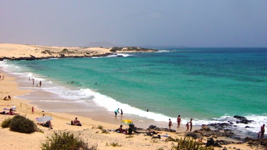 Beach Apt With Fast Wifi