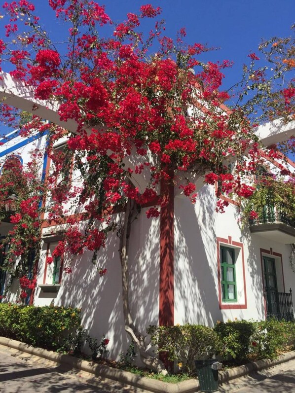 Un edificio con fachada blanca, detalles en rojo y un árbol de flores rojas.