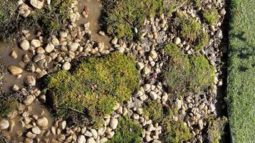 Room, 1 Bedroom, Smoking, Patio | Exterior detail